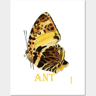 butterfly Posters and Art